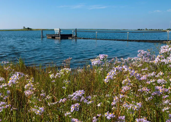 Ostsee Residenz Meeresblick Atelierwohnung Concha Lejlighed *