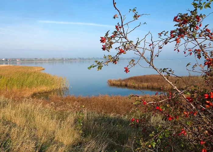 Ostsee Residenz Meeresblick Atelierwohnung Concha *